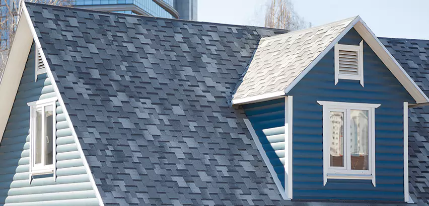 Shingle Roof Maintenance in Lockport